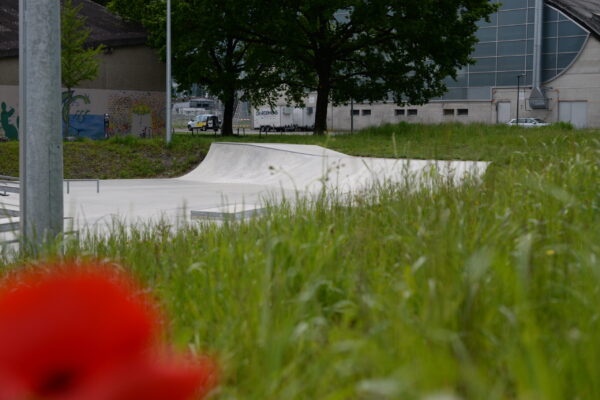 DSC_3917 DSC_3917
