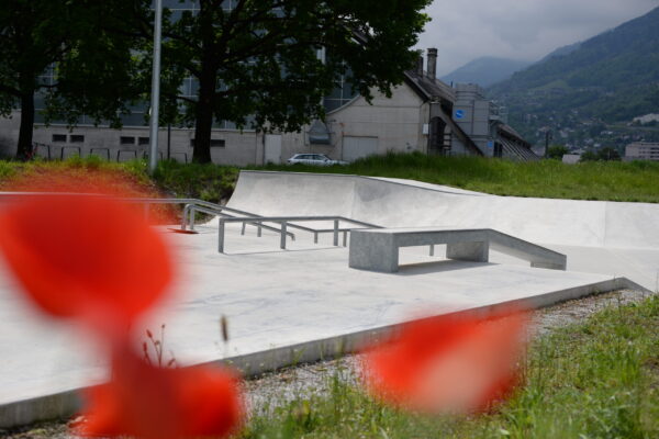 DSC_3927 DSC_3927