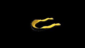 PREMIUM OPEN SPEEDRING